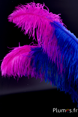 Autruche premium - 50-60 cm - turquoise-fuchsia